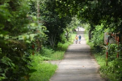 [Photo] Quần đảo Cát Bà - điểm du lịch xanh hấp dẫn của Hải Phòng