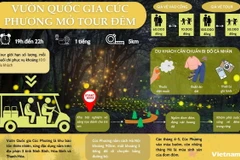 Tìm hiểu về tour đêm của Vườn Quốc gia Cúc Phương