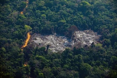 Khoảng rừng Amazon bị chặt phá tại Altamira, bang Para, Brazil, ngày 28/8/2019. (Ảnh: AFP/TTXVN) 