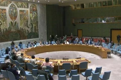 Một cuộc họp về tình hình Haiti của Hội đồng Bảo an Liên hợp quốc. (Nguồn: TTXVN) 