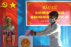 Tổ chức bầu cử sớm tại 17 khu vực vùng sâu, vùng xa tỉnh Quảng Bình. (Ảnh: Đức Thọ/TTXVN) 