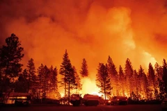 Hiện trường cháy rừng tại Foresthill, California, Mỹ, ngày 13/9/2022. (Ảnh: AFP/TTXVN) 