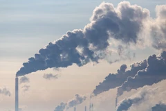 Ảnh minh họa. (Nguồn: AdobeStock)