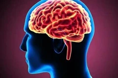 Ảnh minh họa. (Nguồn: Shutterstock) 