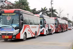 Các chuyến xe đưa công nhân về quê đón Tết. (Ảnh: Đồng Thúy/TTXVN)