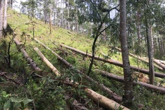 (Ảnh minh họa: Đặng Tuấn/TTXVN) 