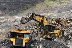 (Ảnh minh họa: Trung Nguyên/TTXVN) 