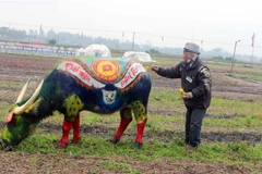 Họa sỹ say sưa sáng tác nghệ thuật trên mình trâu. (Ảnh: Nguyễn Chinh/TTXVN) 