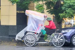 (Ảnh minh họa: Tuấn Đức/TTXVN)