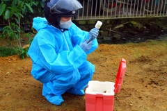 Chuẩn bị vaccine tiêm phòng bệnh chó dại. (Ảnh: Tá Chuyên/TTXVN)