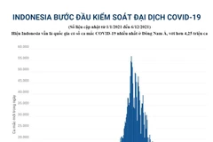 [Infographics] Indonesia bước đầu kiểm soát đại dịch COVID-19