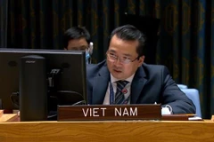 Đại sứ, Phó Trưởng phái đoàn Việt Nam tại Liên hợp quốc Phạm Hải Anh. (Ảnh: Khắc Hiếu/TTXVN) 