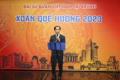 Đại sứ Việt Nam tại Brunei phát biểu tại Tết Cộng đồng-Xuân Quê hương 2023. (Ảnh: Mạnh Tuân/TTXVN)