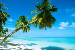 Ba du khách tử vong tại khu nghỉ dưỡng trên đảo lớn Exuma. (Nguồn: Getty Images) 