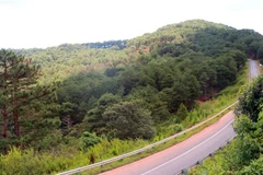 (Ảnh minh họa: Quốc Hùng-Đặng Tuấn/TTXVN) 