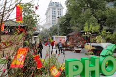 [Photo] Đến phố sách để cùng 'Ươm mầm tri thức-Nảy lộc sắc Xuân'