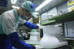 Công nhân làm việc tại Khu công nghiệp Thăng Long. (Ảnh: Lâm Khánh/TTXVN) 