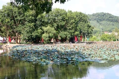 Hồ sen trước cửa đền Kiếp Bạc tỏa hương thơm ngát thu hút du khách thập phương. (Ảnh: Mạnh Tú/TTXVN) 