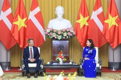 Phó Chủ tịch nước Võ Thị Ánh Xuân hội đàm với Thái tử kế vị Đan Mạch Frederik. (Ảnh: Lâm Khánh/TTXVN) 