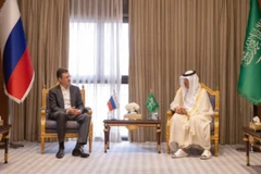 Bộ Năng lượng Saudi Arabia Abdulaziz bin Salman và Phó Thủ tướng Nga Alexander Novak. (Nguồn: Twitter) 