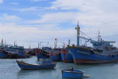 Các tàu cá tại Cảng cá Mỹ Tân, xã Thanh Hải, huyện Ninh Hải, Ninh Thuận. (Ảnh: Minh Hưng/TTXVN) 