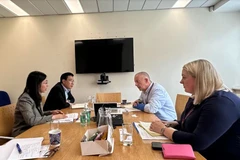 Phó Đại sứ Tô Minh Thu làm việc với Đại diện Bộ Đại học, Khoa học, Công nghệ và Đổi mới của Ireland. (Nguồn: TTXVN phát)