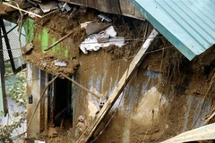 (Ảnh minh họa: Quốc Khánh/TTXVN) 