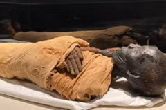(Nguồn: egypttoday.com) 