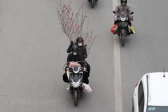 Không khí Xuân ngập tràn các tuyến đường tại Thủ đô trong ngày làm việc cuối cùng trước kỳ nghỉ lễ. (Ảnh: Minh Sơn/Vietnam+)