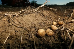 Ảnh minh họa. (Nguồn: AP) 