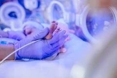 Nghiên cứu của Viện Nghiên cứu Y khoa Hudson của Australia đã phát hiện quá trình tác động của tình trạng viêm nhiễm lên chức năng và sự trưởng thành của tế bào não ở thai nhi.(Nguồn: Shutterstock)