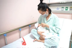(Ảnh minh họa: PV/Vietnam+) 