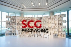 (Nguồn: Packagingworldinsights)