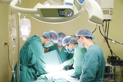 Ảnh minh họa. (Nguồn: PV/Vietnam+) 