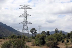 (Ảnh minh họa: Huy Hùng/TTXVN) 