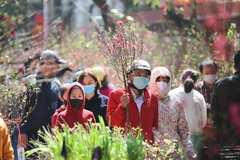 Trời Hà Nội chuyển nắng đẹp, người dân náo nức đi chợ hoa truyền thống