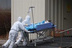 Nhân viên y tế chuyển bệnh nhân COVID-19 tại trung tâm y tế ở Seoul, Hàn Quốc ngày 14/3/2022. (Ảnh: YONHAP/TTXVN) 