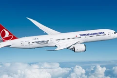 Ảnh minh họa. (Nguồn: mothership.sg) 