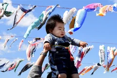 Một ông bố cho con chơi đùa dưới cờ cá chép treo bên bờ sông ở Sagamihara, ngoại ô Tokyo, Nhật Bản. (Nguồn: AFP/TTXVN) 
