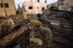 Những ngôi nhà bị phá hủy sau cuộc không kích của Israel xuống thành phố Khan Younis ở Dải Gaza, ngày 23/10/2023. (Ảnh: THX/TTXVN)