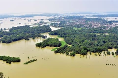 Cảnh ngập lụt sau mưa lớn tại Darbhanga, Bihar, Ấn Độ, ngày 5/8/2020. (Nguồn: THX/TTXVN) 