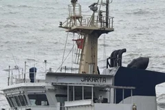 Phát hiện một tàu lạ trôi dạt vào ven bờ biển thị trấn Lăng Cô