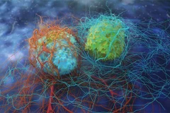 (Nguồn: Technologynetworks)