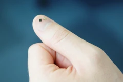 Chip S3FV9RR. (Nguồn: businesskorea.co.kr) 