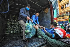 Những chuyến hàng chở bắp cải của nông dân Hải Dương tập kết tại số 38 Giải Phóng, Hà Nội. (Ảnh: Thành Đạt/TTXVN) 