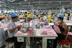 Sản xuất hàng may mặc tại Khu công nghiệp Thành Hải (thành phố Phan Rang-Tháp Chàm, Ninh Thuận). (Ảnh: Nguyễn Thành/TTXVN)