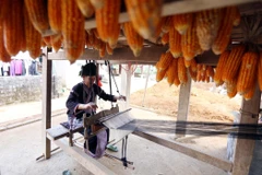 Sắc màu đổi thay trên các bản làng của người dân tộc Lự