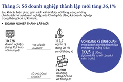 [Infographics] Tình hình đăng ký doanh nghiệp trong tháng 5 khởi sắc