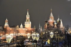 Nga đang xem xét áp dụng chế độ miễn thị thực với 9 nước châu Phi và Trung Đông. (Ảnh: Duy Trinh/TTXVN)