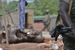 Ảnh minh họa. (Nguồn: Anadolu Agency) 